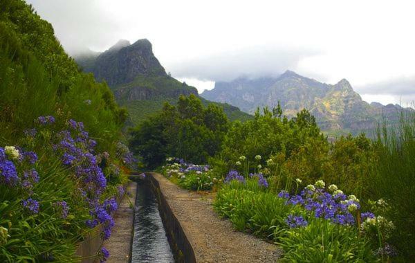 Machico Nature Экстерьер фото